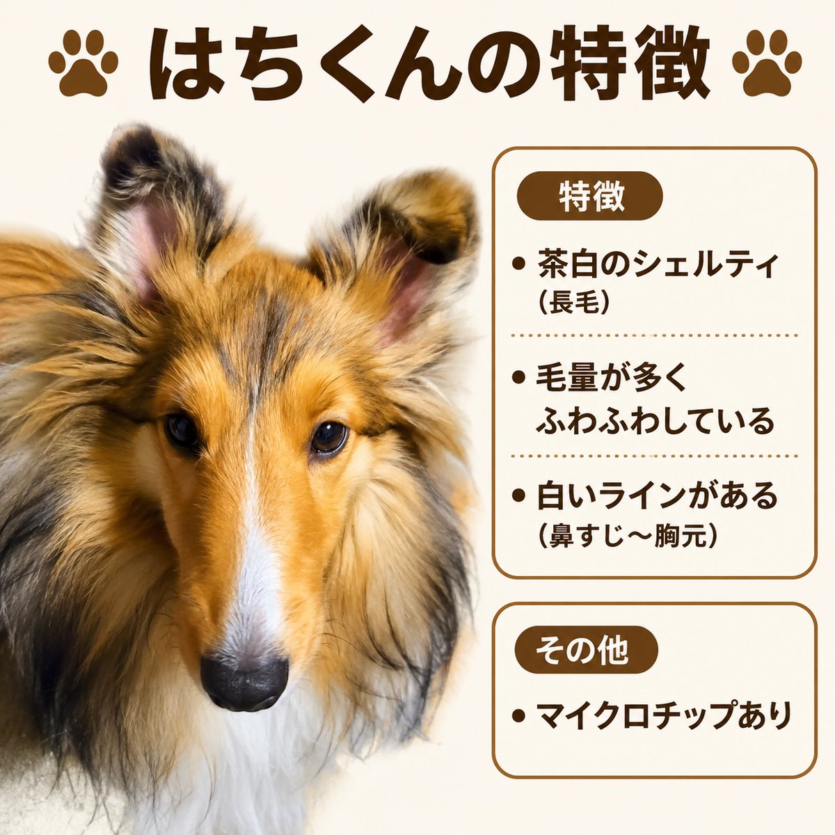 ぷち tweet media