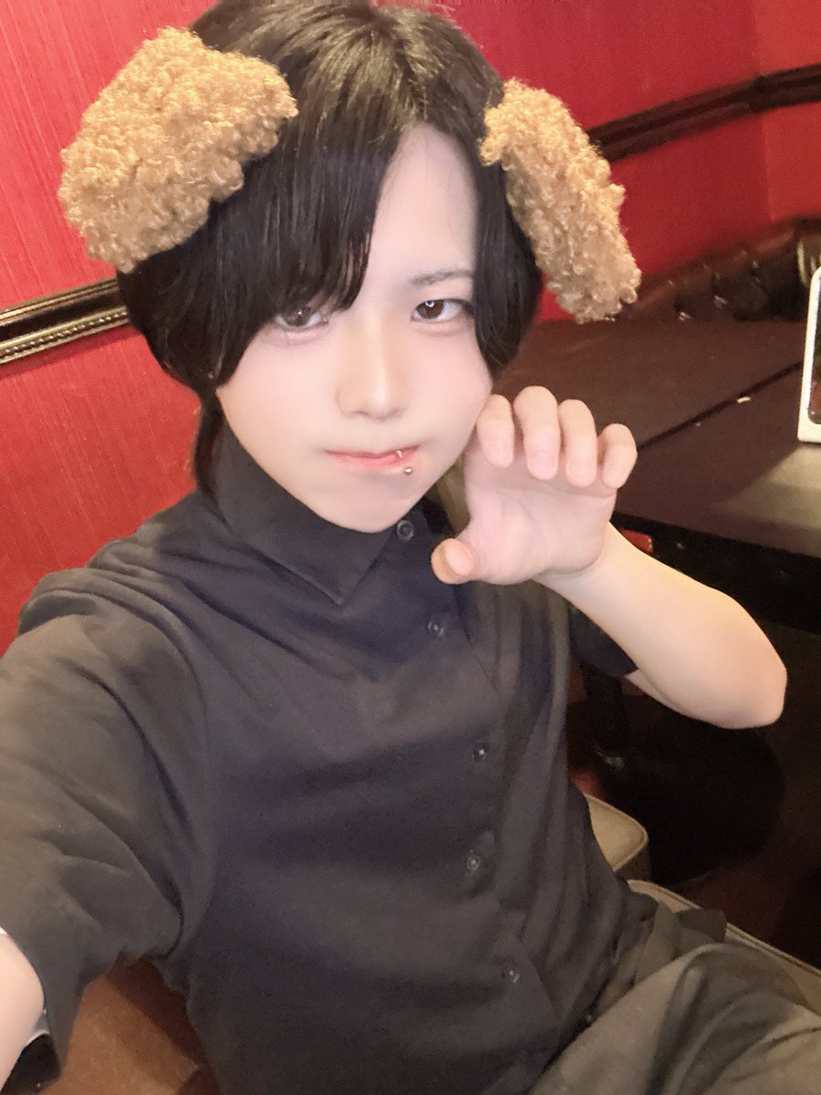 スイ⭐️【STRAY DOGS】 tweet media