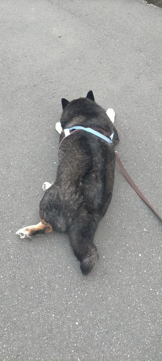 あれから…45分たちましたね