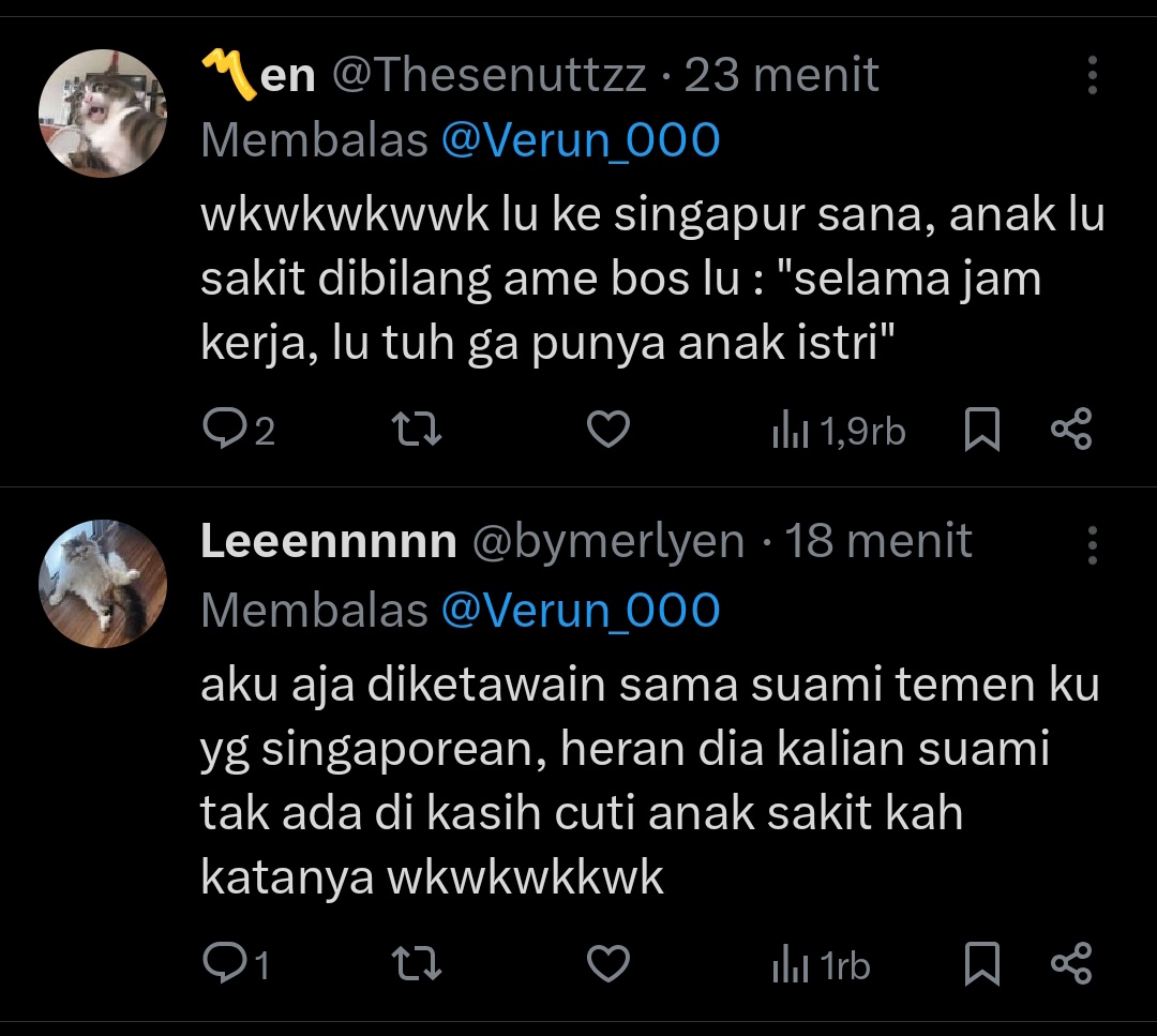 bin tweet media