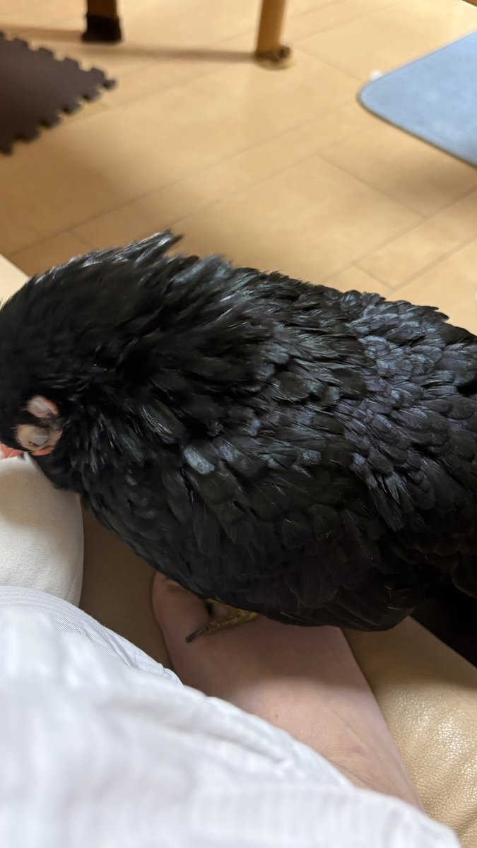 ちゃみ tweet media