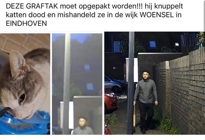 Dolly van den Berg tweet media