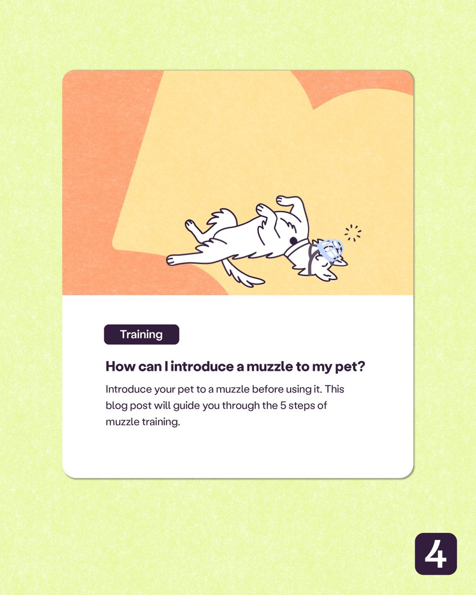 4EveryPet's tweet photo. Take the time to select the proper muzzle for your pet and help them get accustomed to wearing it. If your pet is unfamiliar with a muzzle, they may react negatively in an emergency! 🚑

https://t.co/HzeDSU0M1p https://t.co/TZL5PvxVdN