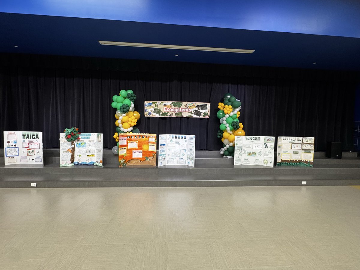 APondrom's tweet photo. Our 4th graders did an amazing job presenting their ecosystem projects! 🌎🌱 So much hard work on display, we are proud of them! @JasonMyatt3 @_TeacherTaylor @TeamBrentfield #RisdDreamBig https://t.co/yBjYBNaXcu