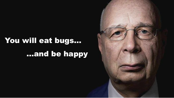 failzero29206's tweet photo. No worries, lads

Klaus Schwab, Larry Fink, Bill Gates, and their ilk, have a plan

Their plan involves:
> Monetizing everything on planet earth
> Reducing the human population by 1.3 billion
> Feeding bugs to whatever sorry bastards survive the 
   "culling"

Chop, chop people
Times a wastin'