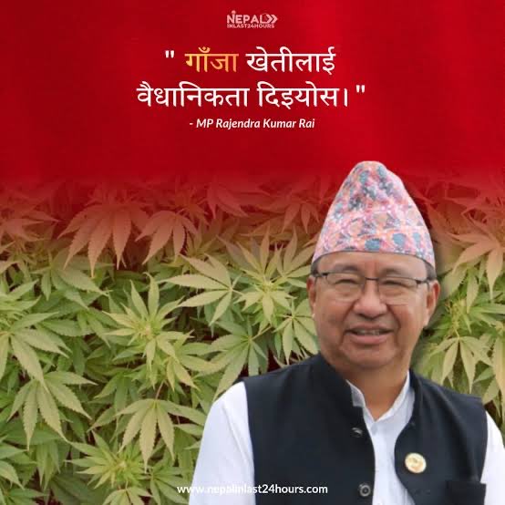 Ananda Nepali tweet media