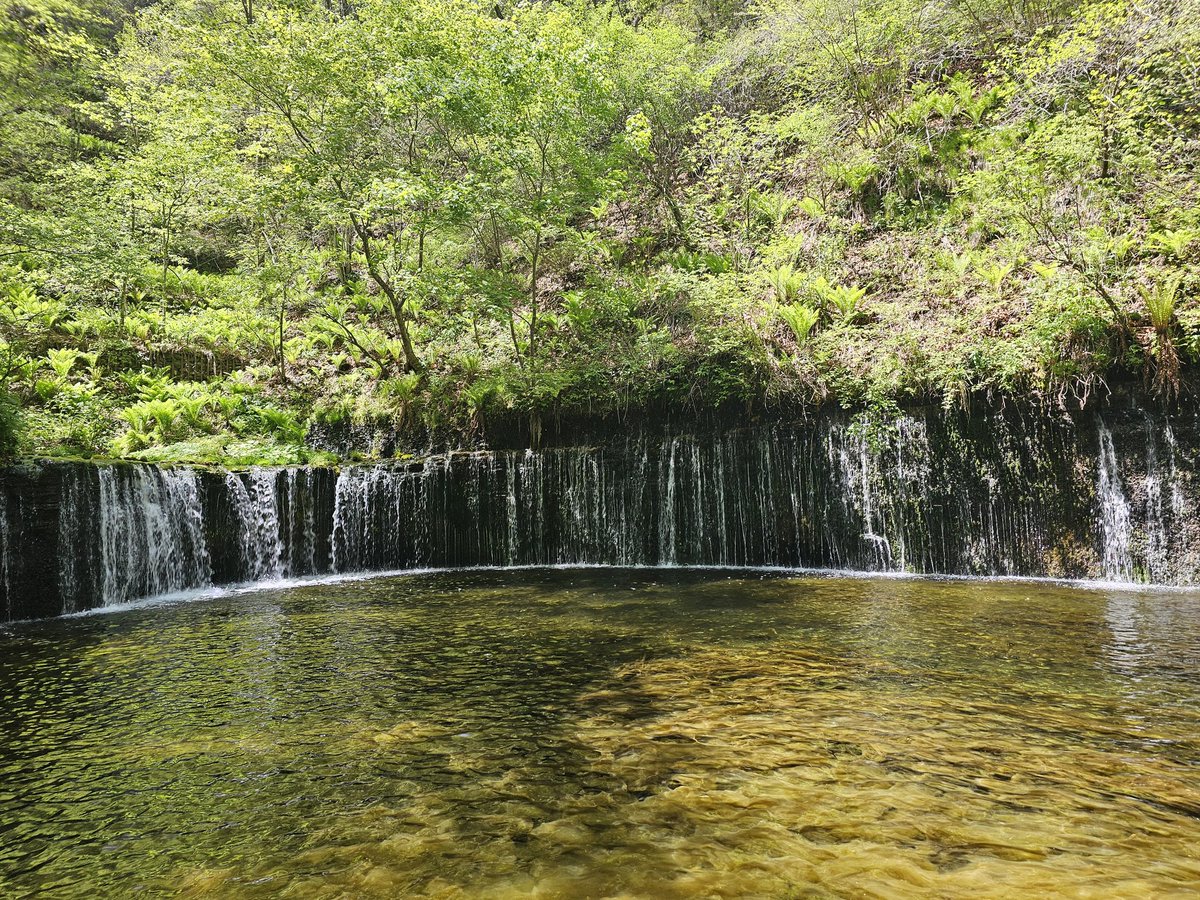 azumatcha73's tweet photo. プライベートのでかい用事、母親と足利旅行、父親と草津旅行
どちらも無事に終えれた( ´ｰ`)ﾌｩｰ...
計画、予約、道中の移動は全部自分がすることになってたから同時進行で予定立ててると頭パンクしそうだった https://t.co/U4sMzPA53b