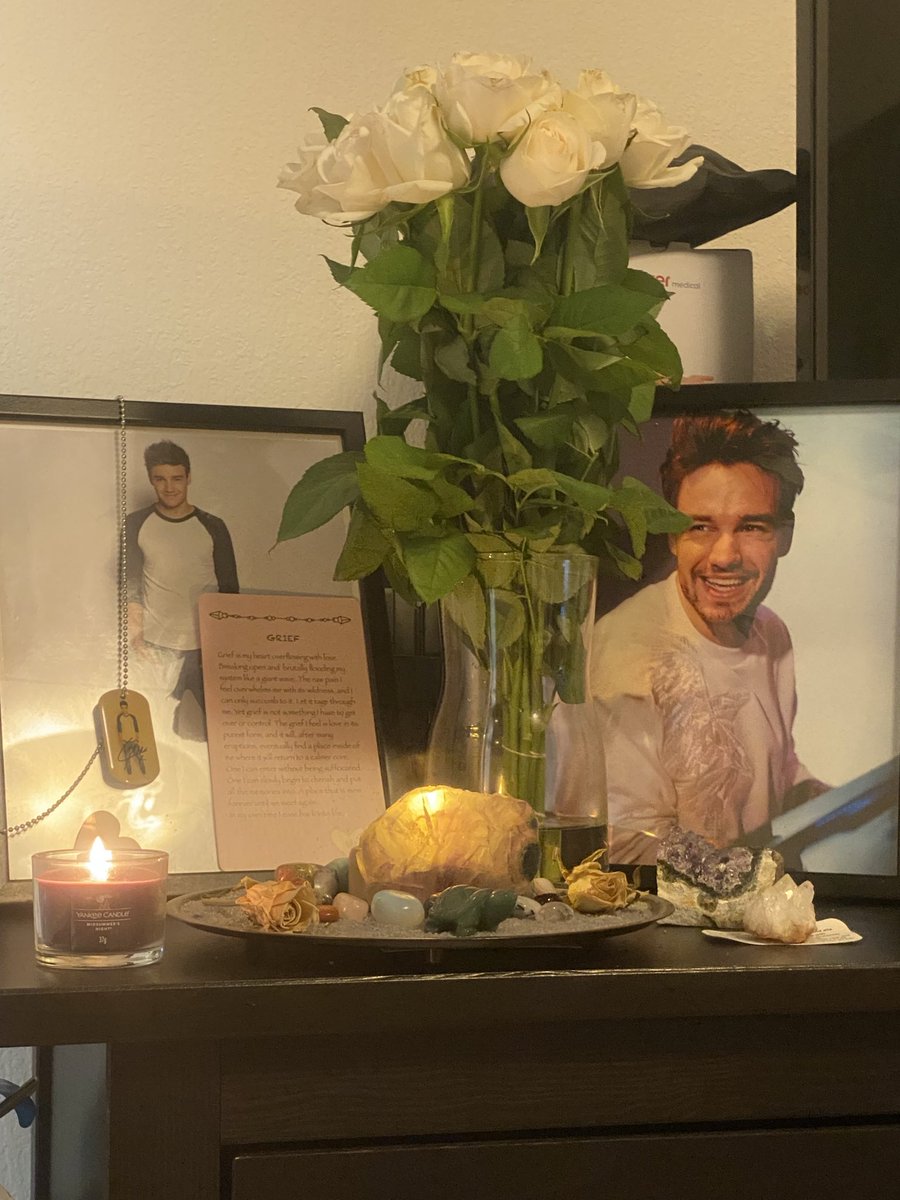 elli_1997_'s tweet photo. @archivsliam I have that second picture at my little memorial that I have in my apartment. 💜 https://t.co/LrNLg5Tueg