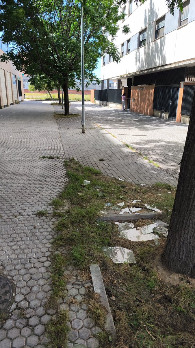jluque1991's tweet photo. Hola @Ayto_Sevilla @jlsanzalcalde un mes llevamos en la calle catodo con esta maravilla. Por no hablar de las hierbas con medio metro de altura. https://t.co/T6B8gV4Uzs