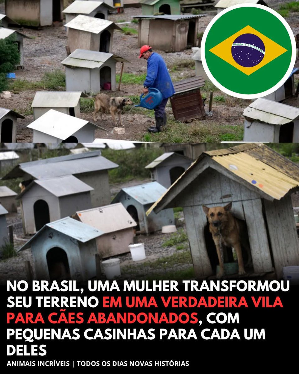 iti malias tweet media