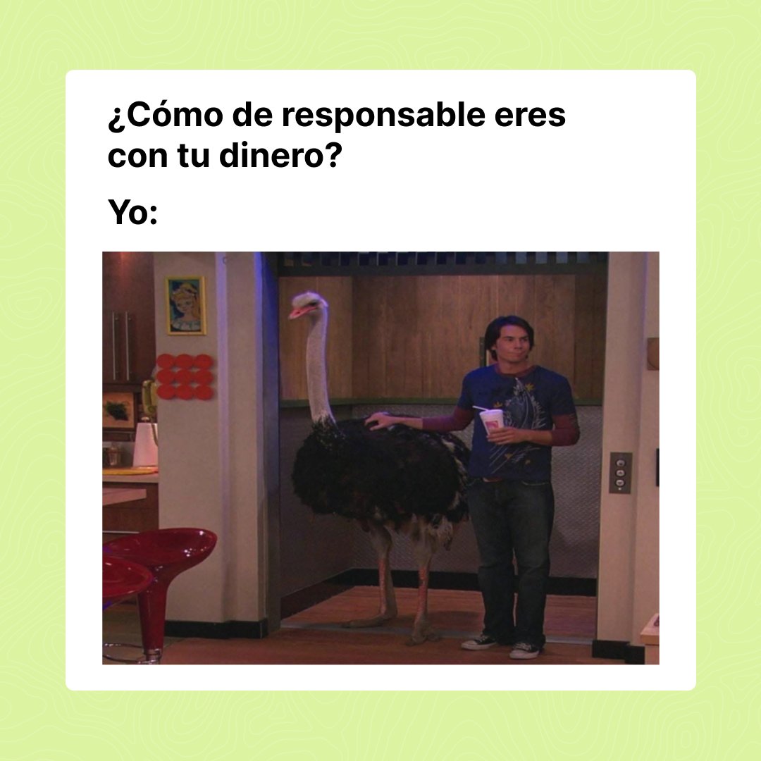 Plazo tweet media