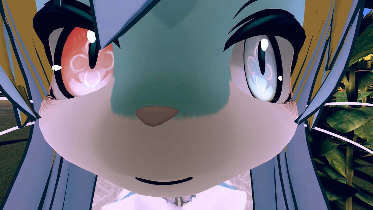 ぷるちゃん@VRC🦈 tweet media