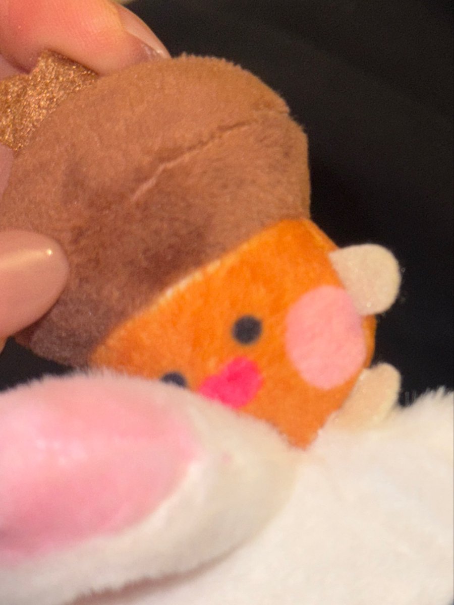 박쫑생마누라 tweet media