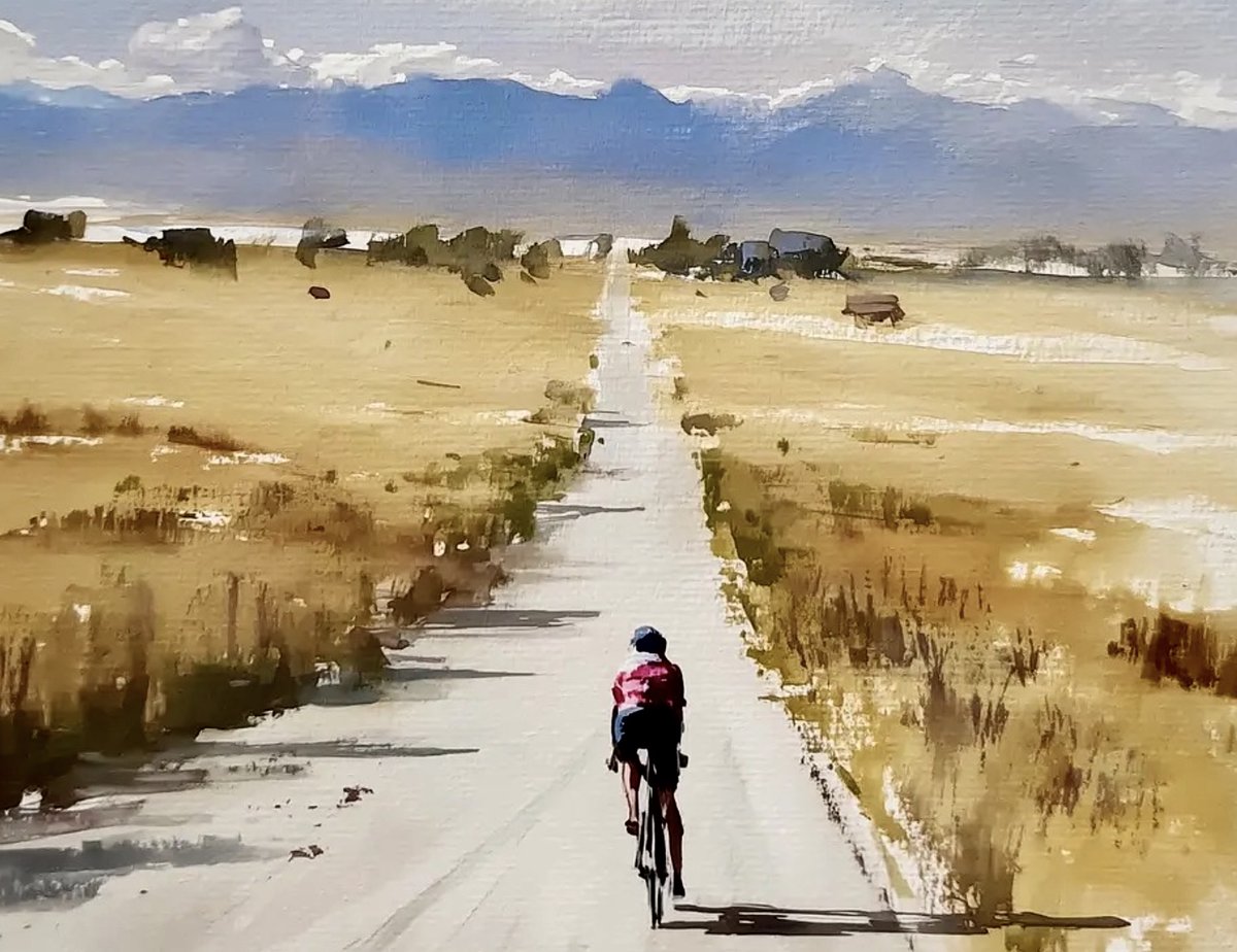 Capo Velo tweet media