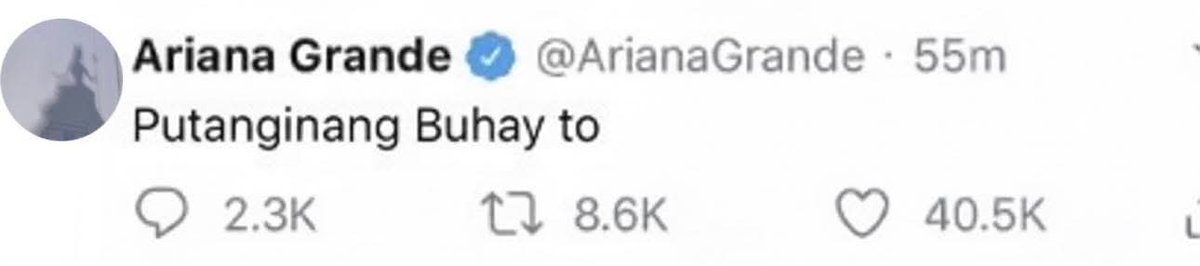 adonis tweet media