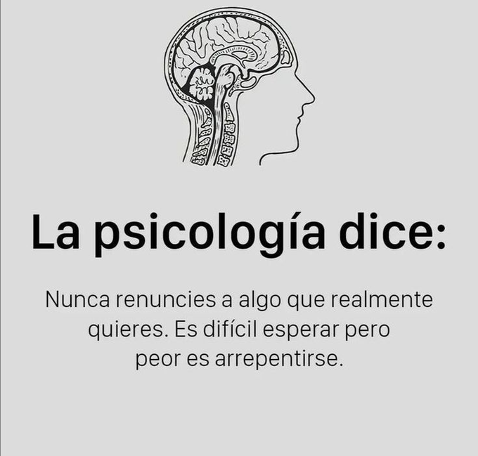 El Buho Sabio. Busca la Sabiduria siempre. tweet media