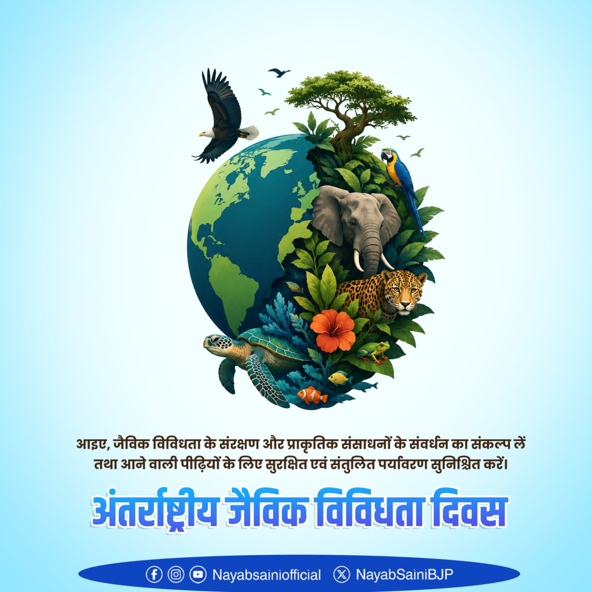 Nayab Saini tweet media