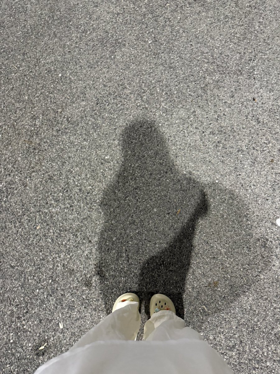 ほのか tweet media