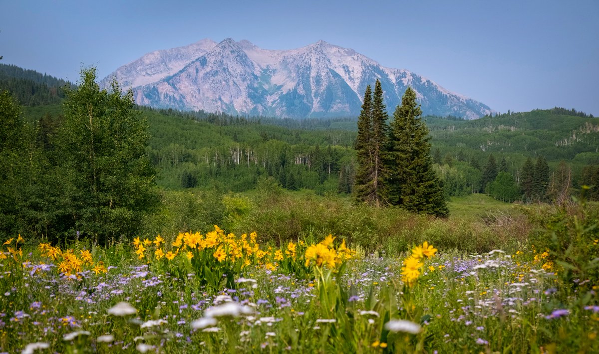 MovieMogulProd's tweet photo. Colorado wildflower season is upon us… and now's the time to discover these gorgeous locations for your next production.

Let’s find the perfect spot for your shoot before the wildflowers do their thing.

#filmmaking #onlocation #locations #locationscout #wildflowers https://t.co/QG2hasBcED