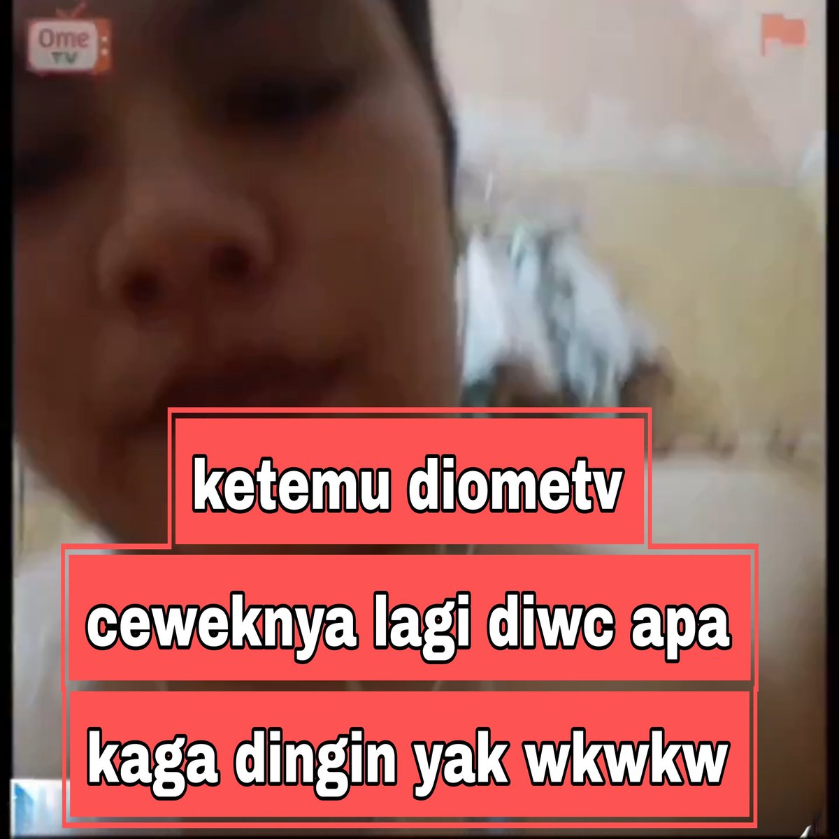 tricia tweet media