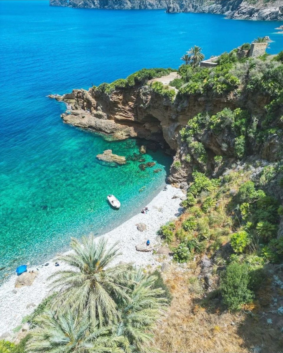 aseelswaid9's tweet photo. Diversity of nature in Algeria https://t.co/70MGydaS8k