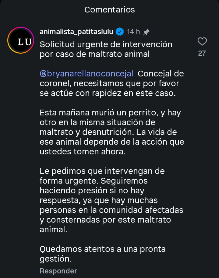 #Rulifx® 🐾#ViudaDelClan tweet media