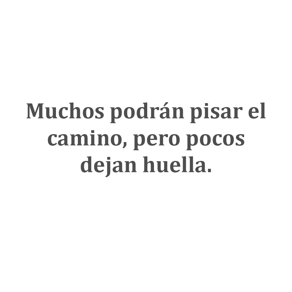 El Potro tweet media