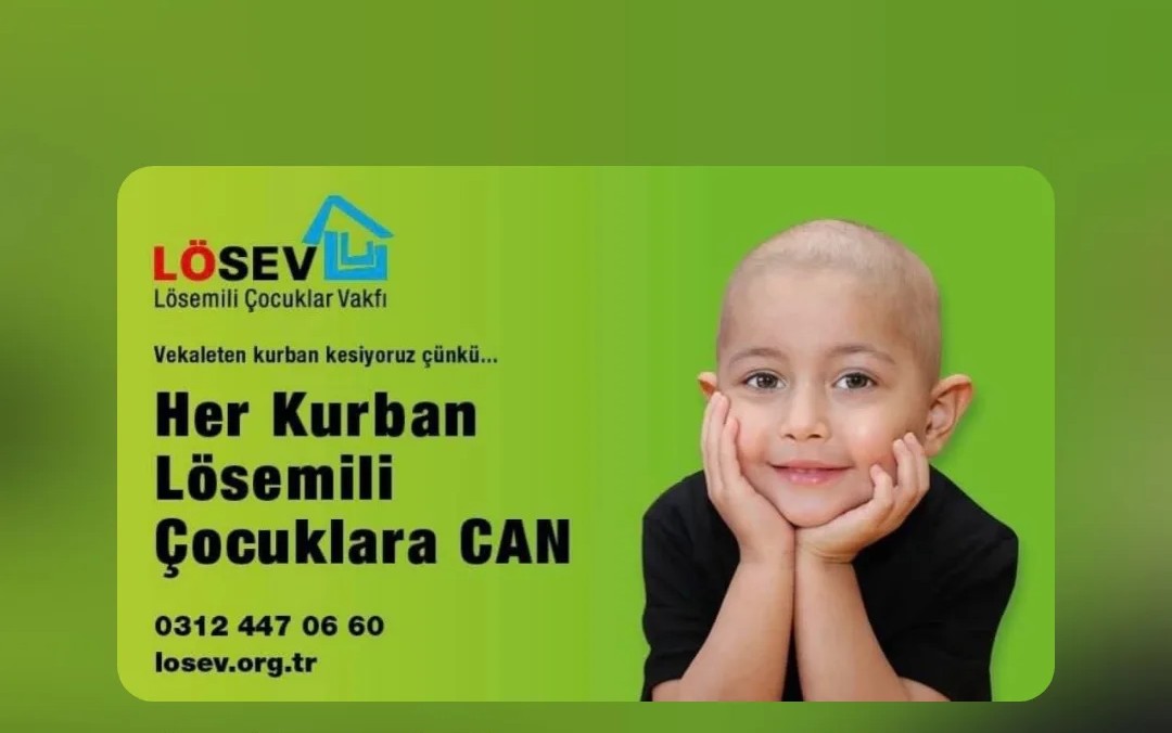 Sedaimd's tweet photo. Bağışlarınız LÖSEV’le lösemili çocuklara CAN olsun..🫂
#HerKurbanLösemiliÇocuklaraCan https://t.co/6m8xgPzhXj