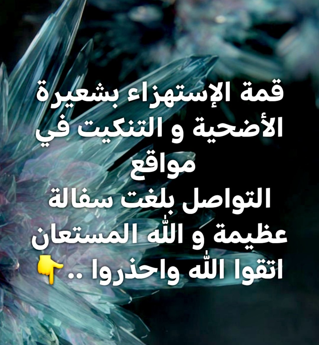 ﮼محمد،بن،رائف tweet media