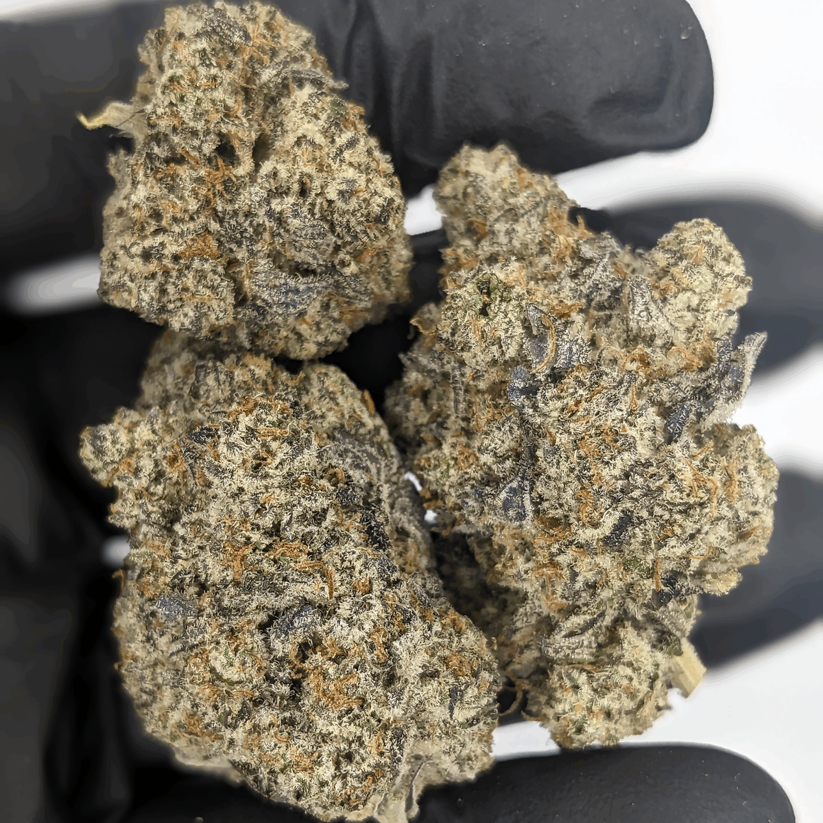 CBD Hemp Direct tweet media