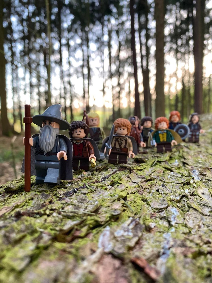 AragornVII's tweet photo. The Fellowship Of The Ring 

cr. Pseaver https://t.co/QbW0la2JdS