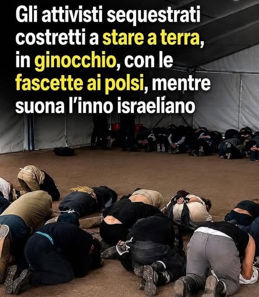 Michi tweet media