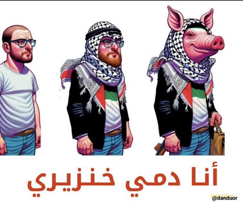 سفستفيشن tweet media