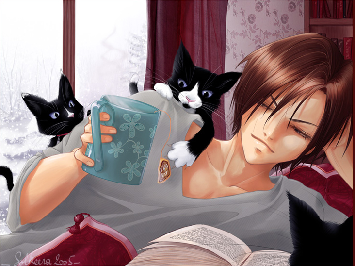 Cats on the bookshelf tweet media