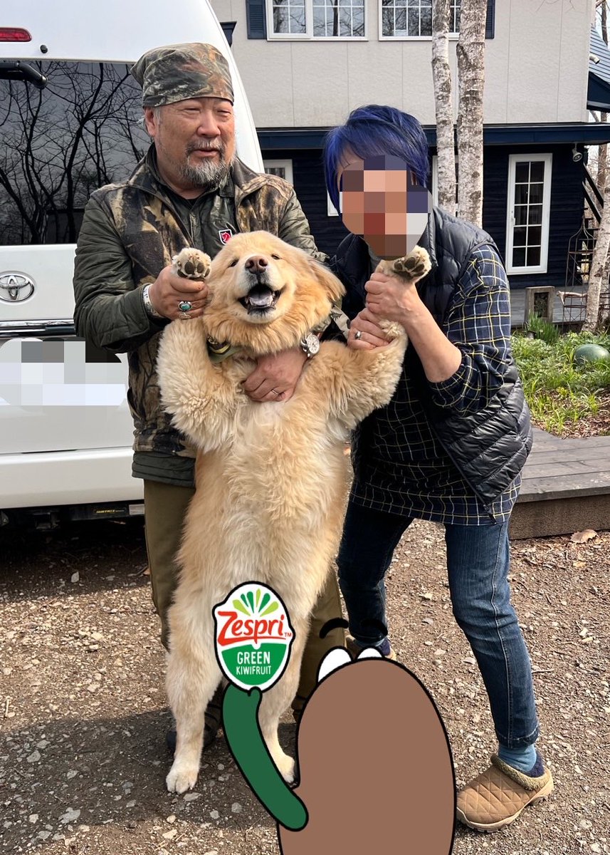 Post by ディッパー on X: 🥝