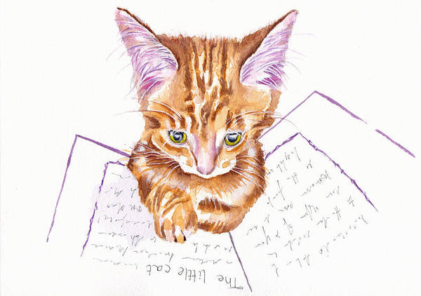 Cats on the bookshelf tweet media