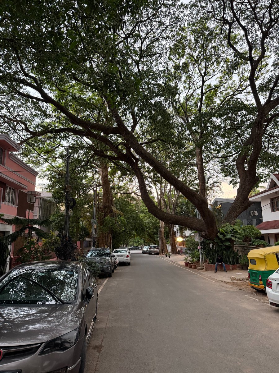 chiragfindh's tweet photo. Best weather to walk in indranagar 

the residential colony parallel to 12th main is soo peaceful. https://t.co/OFAt5myMrW