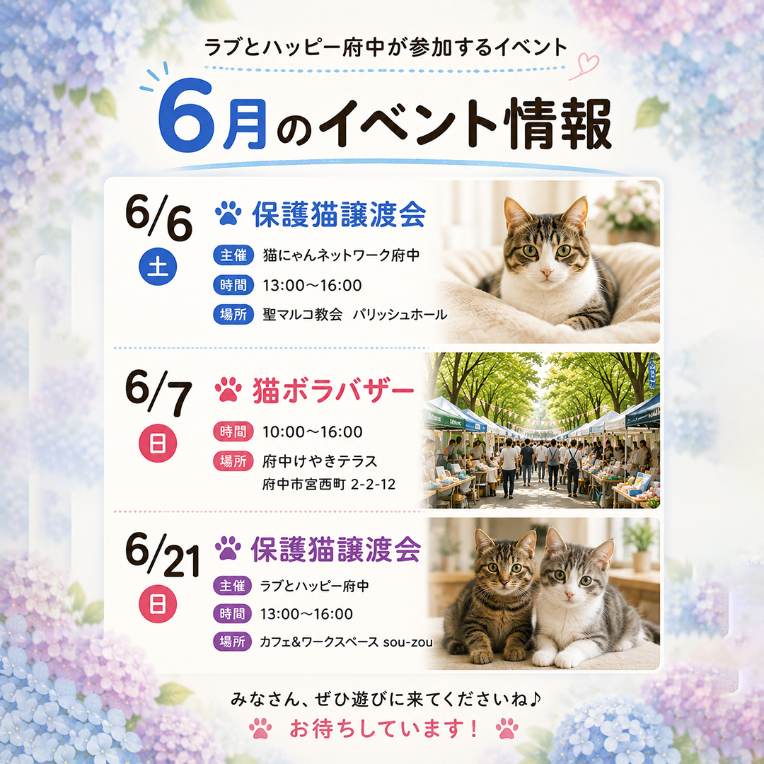 ラブとハッピー府中@里親募集中 tweet media