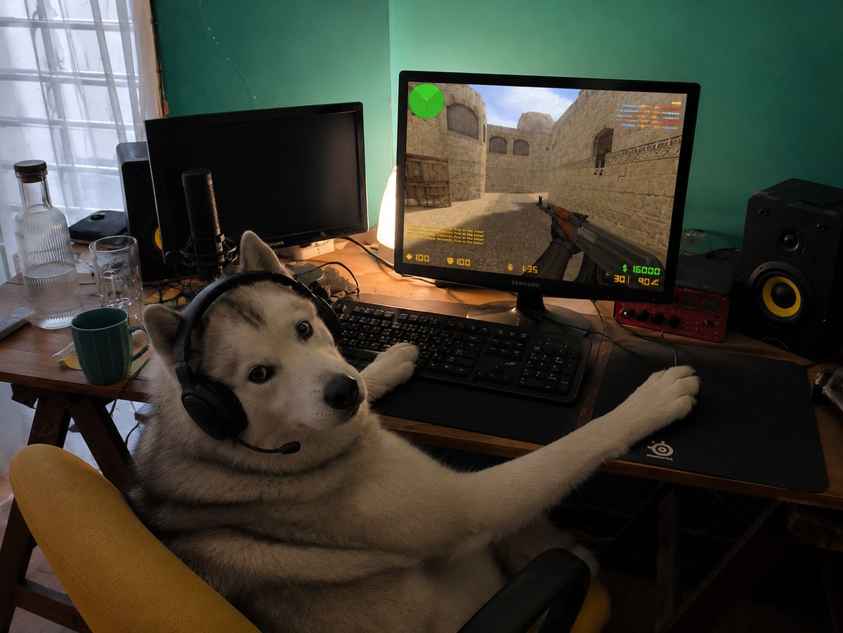 isihux's tweet photo. @MoriKrygel mira mi perro jugando al counter https://t.co/MMOhwl1v6y