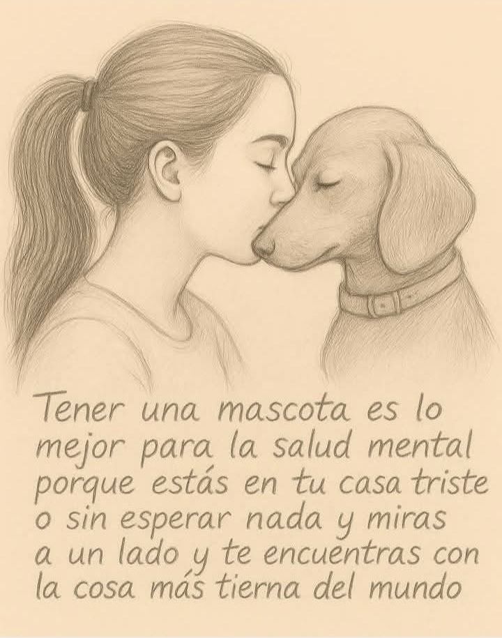 rey_latino33087's tweet photo. https://t.co/YAI73Q4RB5