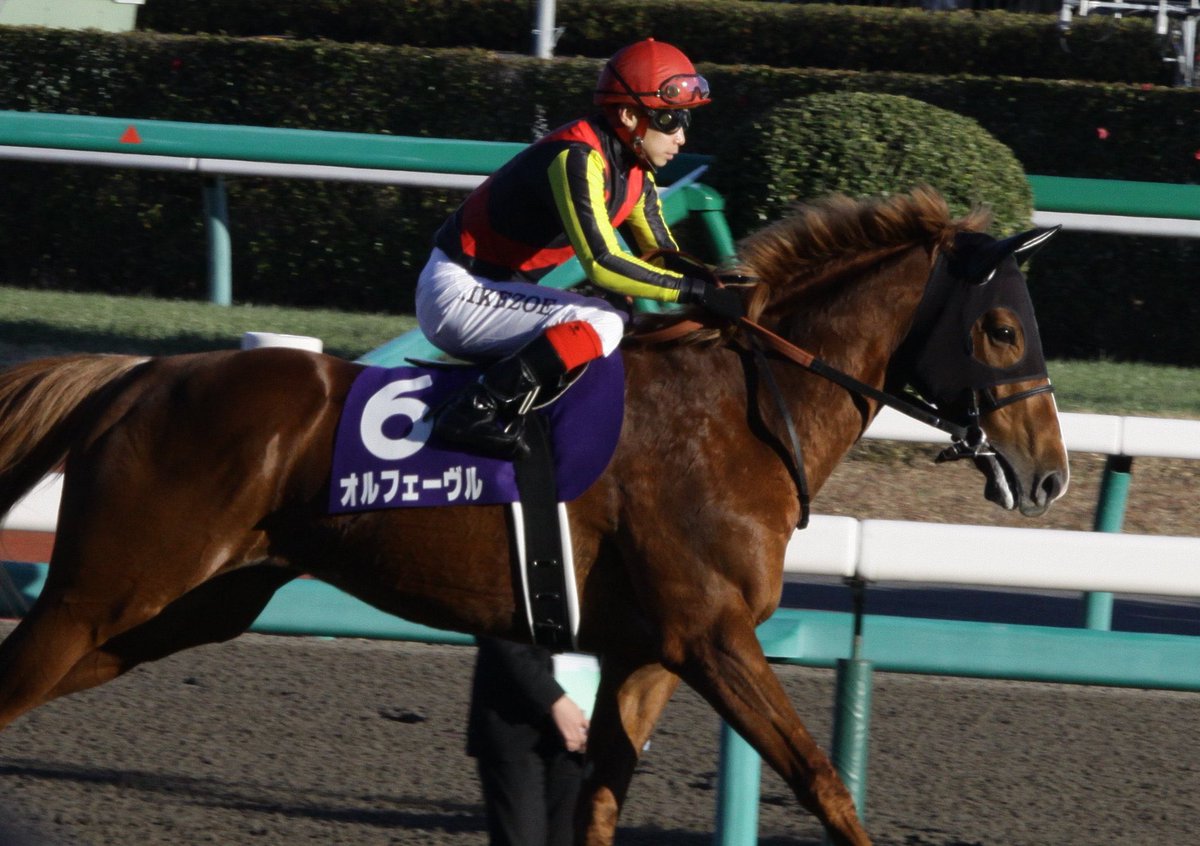 ←2011年有馬記念のオルフェーヴル 2013年有馬記念のオルフェーヴル→