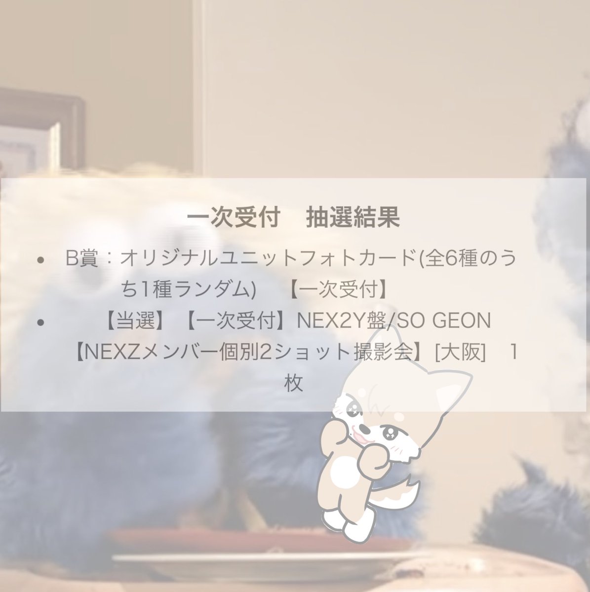 まいやん🐾🦋 tweet media