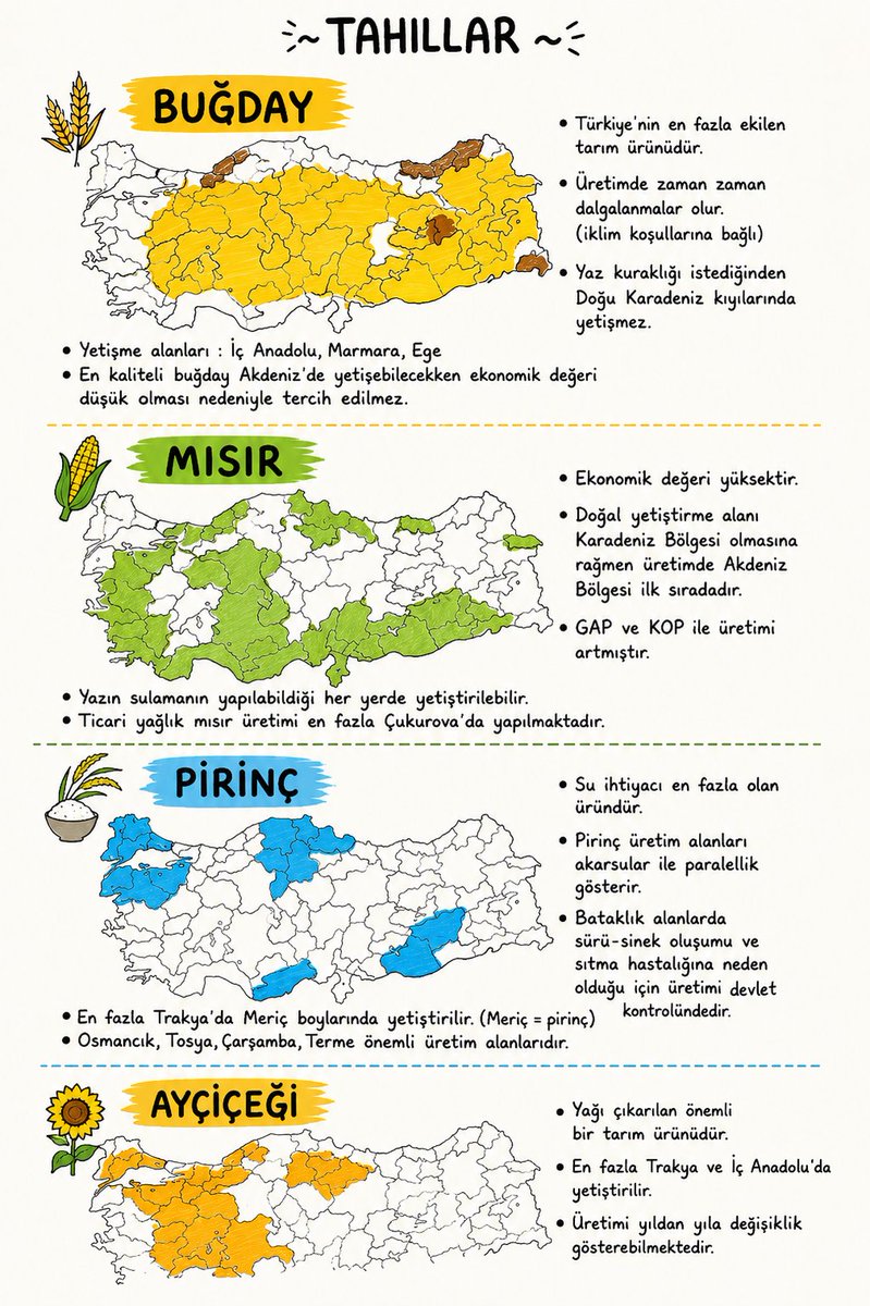 kpss2026__'s tweet photo. 📌 KPSS Coğrafya'da çıkan tarım ürünlerini tek sayfada topladım.

🌾 Buğday 🌽 Mısır 🍚 Pirinç 🍊 Turunçgil 🍎 Elma 🌰 Fındık 🍇 Üzüm 🌿 İncir https://t.co/Ng9MqwWUoA