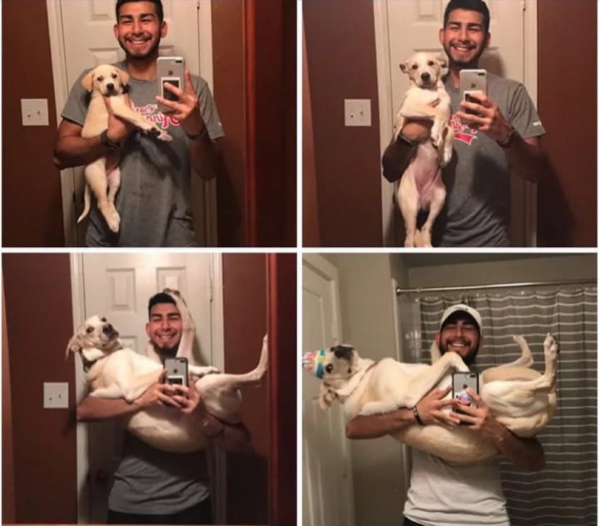Puppies 🐶 tweet media