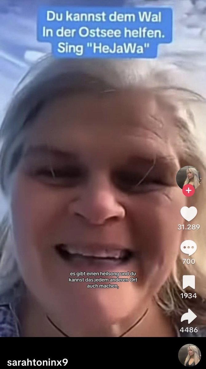 Littlewisehen tweet media