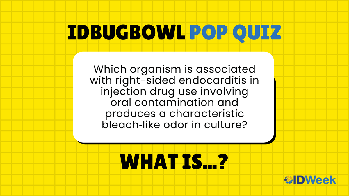 IDWeekmtg's tweet photo. Happy #IDBugBowl Pop Quiz Thursday! 🧠💡 Which organism is associated with right-sided endocarditis in injection drug use involving oral contamination and produces a characteristic bleach‑like odor in culture?

Comment your guess below! Answer reveal tomorrow. https://t.co/3dBxdB74gH