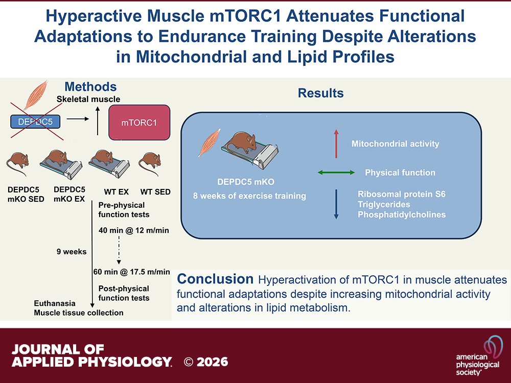 Journal of Applied Physiology tweet media