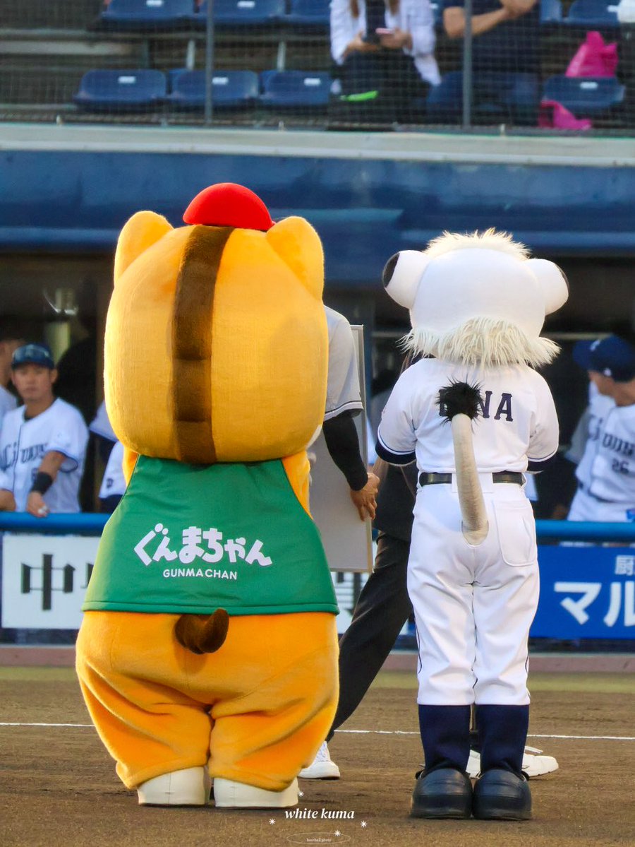 しろくま🐻❄️📸 tweet media