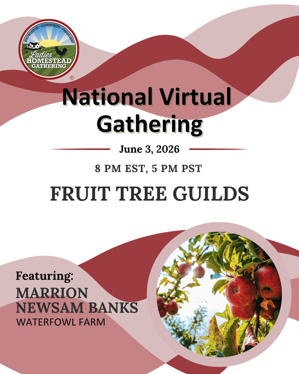 NLHGorg's tweet photo. On June 3rd, we're excited to welcome Marrion Newsam Banks to our National Virtual Gathering! She'll introduce us to Fruit Tree Guilds — a way of planting that allows your trees and surrounding plants to work together to support one another. Join us live: https://t.co/nc13AsUM6G https://t.co/BiAs0NJp3n