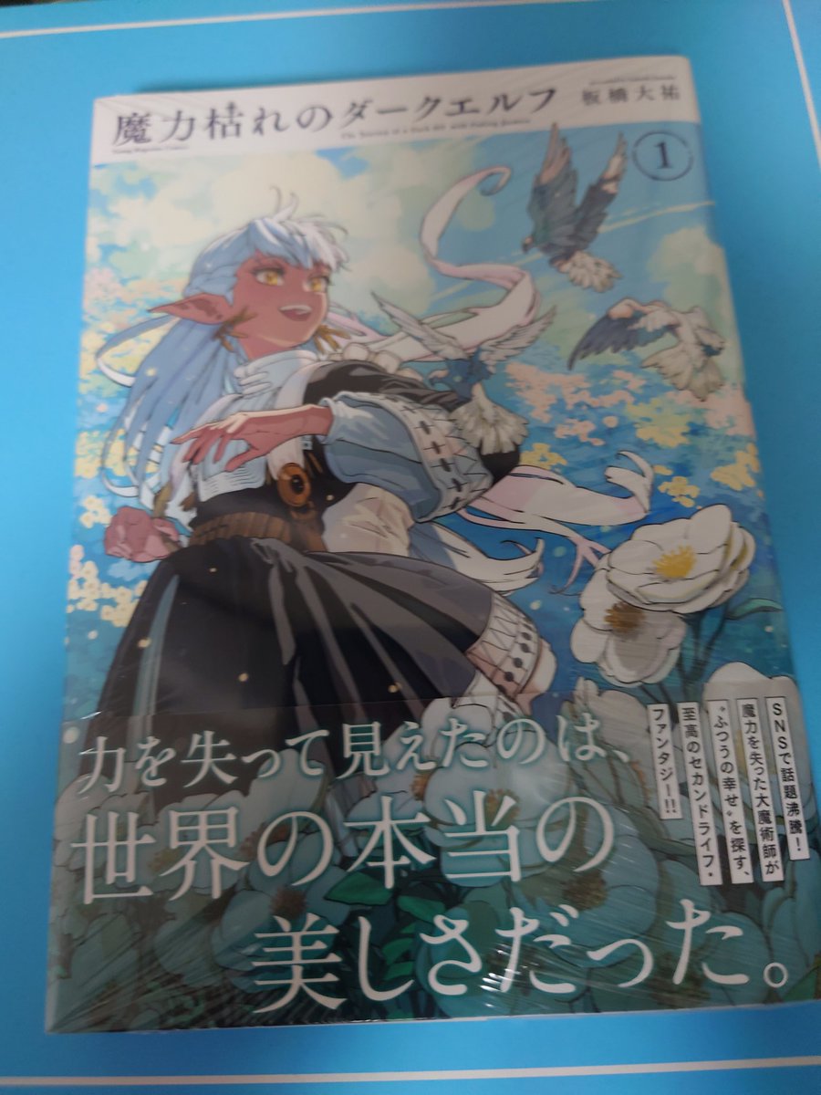 SouthBone10's tweet photo. マンガを久々にジャケ買いしました。わたくし、こういうタイトルに弱いのもあるw https://t.co/ZbCjMUqyuZ